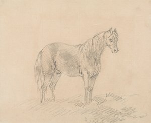 Männliches Pferd von Sawrey Gilpin