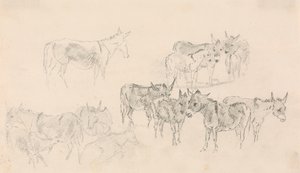 Studien von Eseln von Sawrey Gilpin