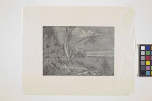 Landschaft