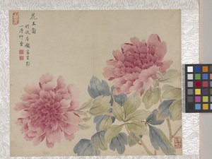 8-Blatt-Album mit Blumen, Mitte 1700er Jahre von School Chinese