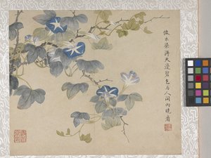 8-Blatt-Album von Blumen, Mitte 1700er