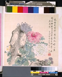 Album von Blumen und Vögeln, unbekanntes Datum