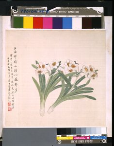 Album von Blumen und Vögeln, unbekanntes Datum