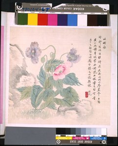 Album von Blumen und Vögeln, Datum unbekannt