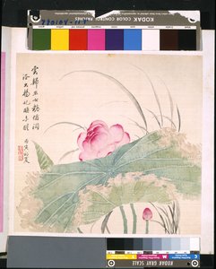 Album der Blumen und Vögel, Datum unbekannt
