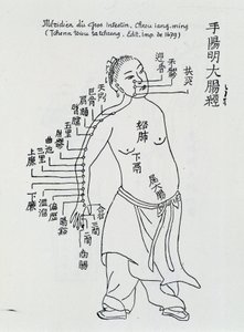 Chinesische Akupunktur: der Dickdarm