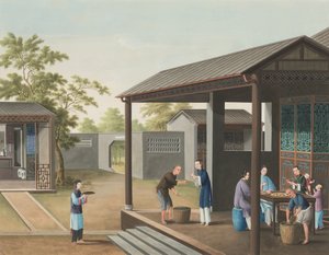 Teeproduktion von School Chinese