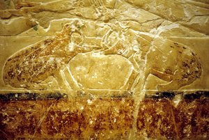 Altes Ägypten, Wandrelief/Malerei, Mastaba/Grab von Idout, Saqqara, 6. Dynastie, Zwei kämpfende Nilpferde von School Egyptian