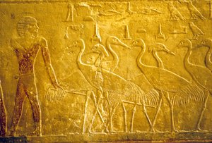 Altes Ägypten, Wandrelief, Mastaba/Grab von Ti, Saqqara, 5. Dynastie, Ein Bauer führt zahme Kraniche