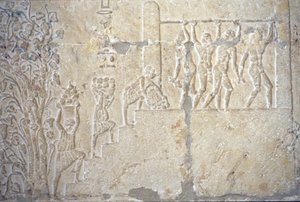 Altes Ägypten, Wandmalerei, Grab des Petosiris, Tuna el Gebel, 300 v. Chr., Weinernte, Weinherstellung, Weinpresse von School Egyptian
