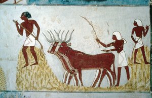 Luxor, Theben: Gräber der Adligen: das Grab von Nakht. Landwirtschaftliche Szene. Tal der Adligen. von School Egyptian