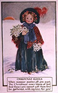 Christrosen von School English