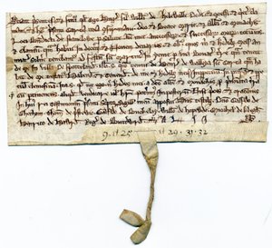 Mittelalterliche Urkunden