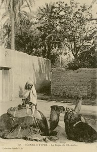 Le Repos du Chamelier, ca. 1890-1914 (s/w Foto)