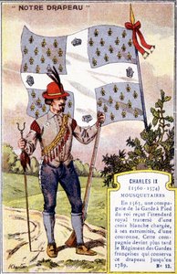 Das Banner der Musketiere von Karl IX.