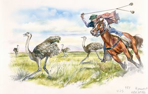 Argentinien - Viehhirten jagen Nandus in den Pampas