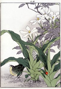 Vogel in den Blumen - Japanischer Druck