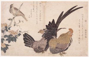 Hahn, Henne und Vogel