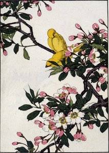 Serins auf einem blühenden Kirschzweig - Japanischer Druck von Japanese School