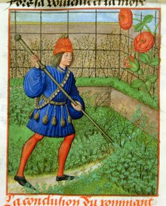 Der Liebhaber erreicht die Rose, aus 