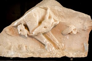Wölfin und die Zwillinge Romulus und Remus