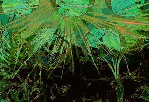 Artischocke_abst_horz2