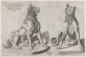 Speculum Romanae Magnificentiae: Zwei Hunde von Sebastiano di Re