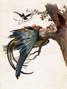 Literatur. Märchen. Der blaue Vogel. Illustration von J. Solomko, Tschechien von Sergei Sergeevich Solomko