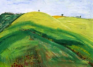 Gelassene rollende Landschaft