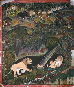 Brijnathji und Durjan Sal sichten ein Löwenrudel von Shaykh Taju
