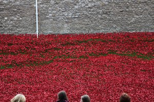 Blood Swept Lands and Seas of Red, Tower of London, 2014 von Sheldon Marshall