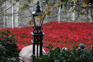 Blutüberströmte Länder und Meere aus Rot, Tower of London, 2014 von Sheldon Marshall
