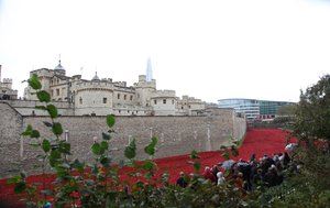 Blutüberströmte Länder und Meere aus Rot, Tower of London, 2014 von Sheldon Marshall