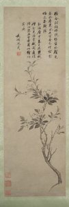 Blühender Zierapfel von Shen Zhou