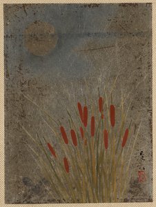 Katzenschwänze und Mond