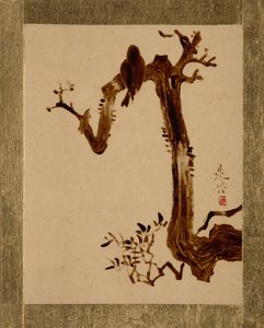 Krähe auf Baum