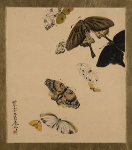 Lackmalereien zu verschiedenen Themen: Schmetterlinge, datiert 1881