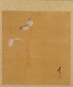 Motten aus dem Album der Gemälde des Ehrwürdigen Zeshin von Shibata Zeshin