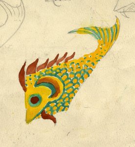 Fischillustration (ca. 1950)