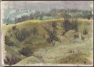 Landschaft mit Büschen, Italien, ca. 1950