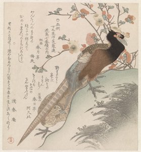 Fasane vor einem Blütenzweig (Sieben Bilder von Vögeln und Blumen für die Fuyôren-Dichtervereinigung von Kanuma aus der Provinz Shimotsuke)