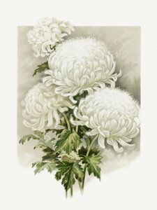 Frau Alpheus Hardy von Sidney Thomas Callowhill