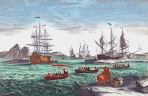 Walfangflotte vor Grönland im 18. Jahrhundert