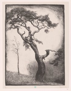 Kiefer von Simon Moulijn (signed by artist)