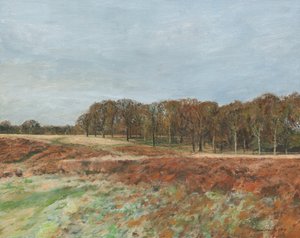 Richmond Park von Simon Neville