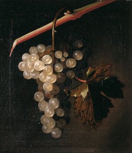 Ein Traubenbündel vor einer Steinmauer, 1709 von Simon Peeterz Verelst