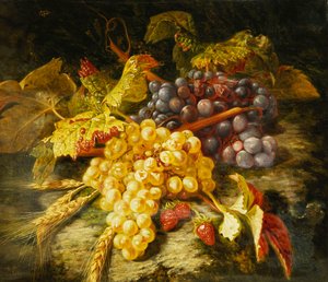 Trauben, bärtiger Weizen und Erdbeeren auf einem felsigen Sims, 1849 von Simon Saint Jean