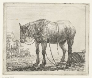 Ruhendes Arbeitspferd (Verschiedene Tiere)