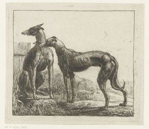 Zwei Windhunde von Simon de Vlieger