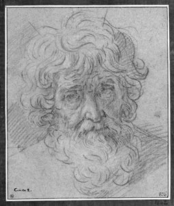 Kopf eines alten Mannes von Simone Cantarini